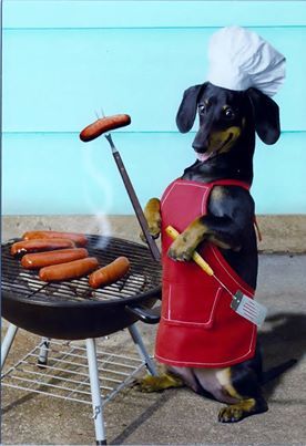 dog chef