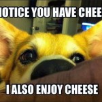 dog-loves-cheese