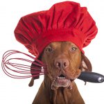 dog chef with egg beater