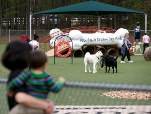 Beneful Dream Dog Park