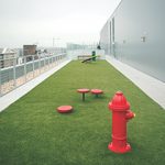 City-Market-at-O-Street-Rooftop-Turf