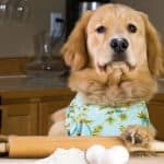 dog-baking