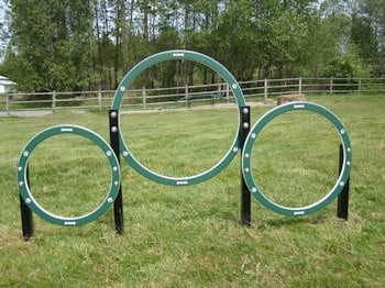 Husky Triple Hoop