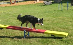 Teeter Totter