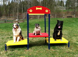 Classic Dog Park Agility Equipment Step Up Table