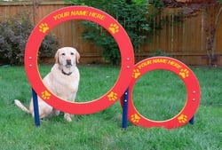 Double Hoop Jump