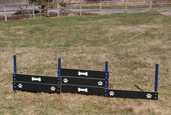 Tri-Level Dog Park Agility Jump