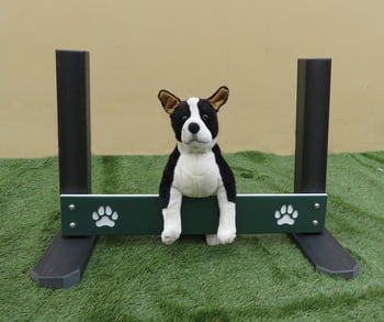 EcoDog™ Dog Park Agility EcoDog Wall Jump - Single