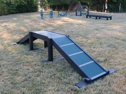 EcoDog Dog Walk Ramp (Small)