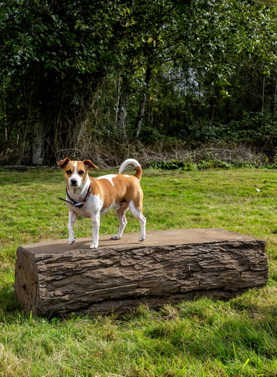 NatureDog™ Dog Leg Walk