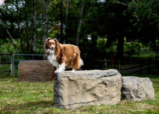 NatureDog™ Large Boulder