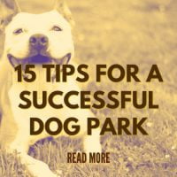 15 Tips for A Successful Dog Park