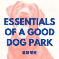 Essentials of a Good Dog Park