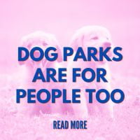 Dog Parks are for People Too
