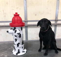 Dalmatian Fire Hydrant