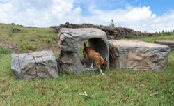 NatureDog™ Agility Boulder Run Set