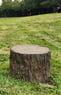 NatureDog™ Big Stump Jump