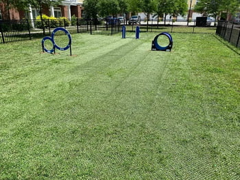 Dog Park Surfacing Solutions Natura Turf Pro